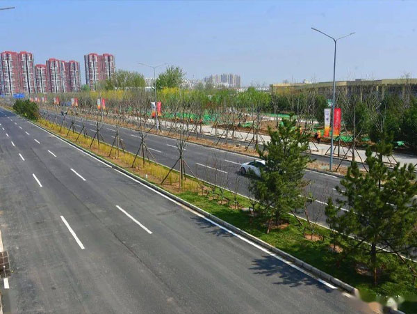 市政道路保洁